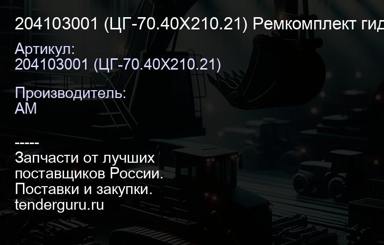 204103001 (ЦГ-70.40Х210.21) Ремкомплект гидроцилиндра 70х40 челюсти () 204103001 | купить запчасти
